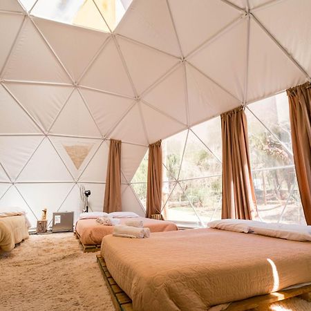 Glamping Miraflores 호텔 Vicuña 외부 사진