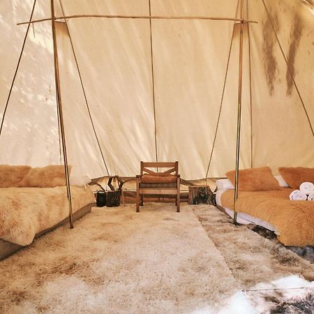 Glamping Miraflores 호텔 Vicuña 외부 사진