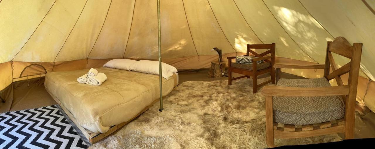 Glamping Miraflores 호텔 Vicuña 외부 사진