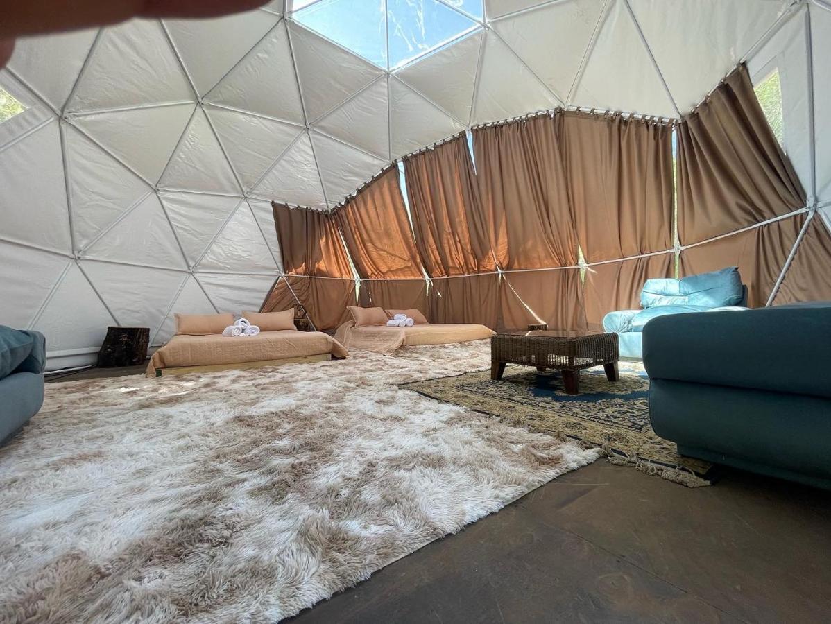 Glamping Miraflores 호텔 Vicuña 외부 사진