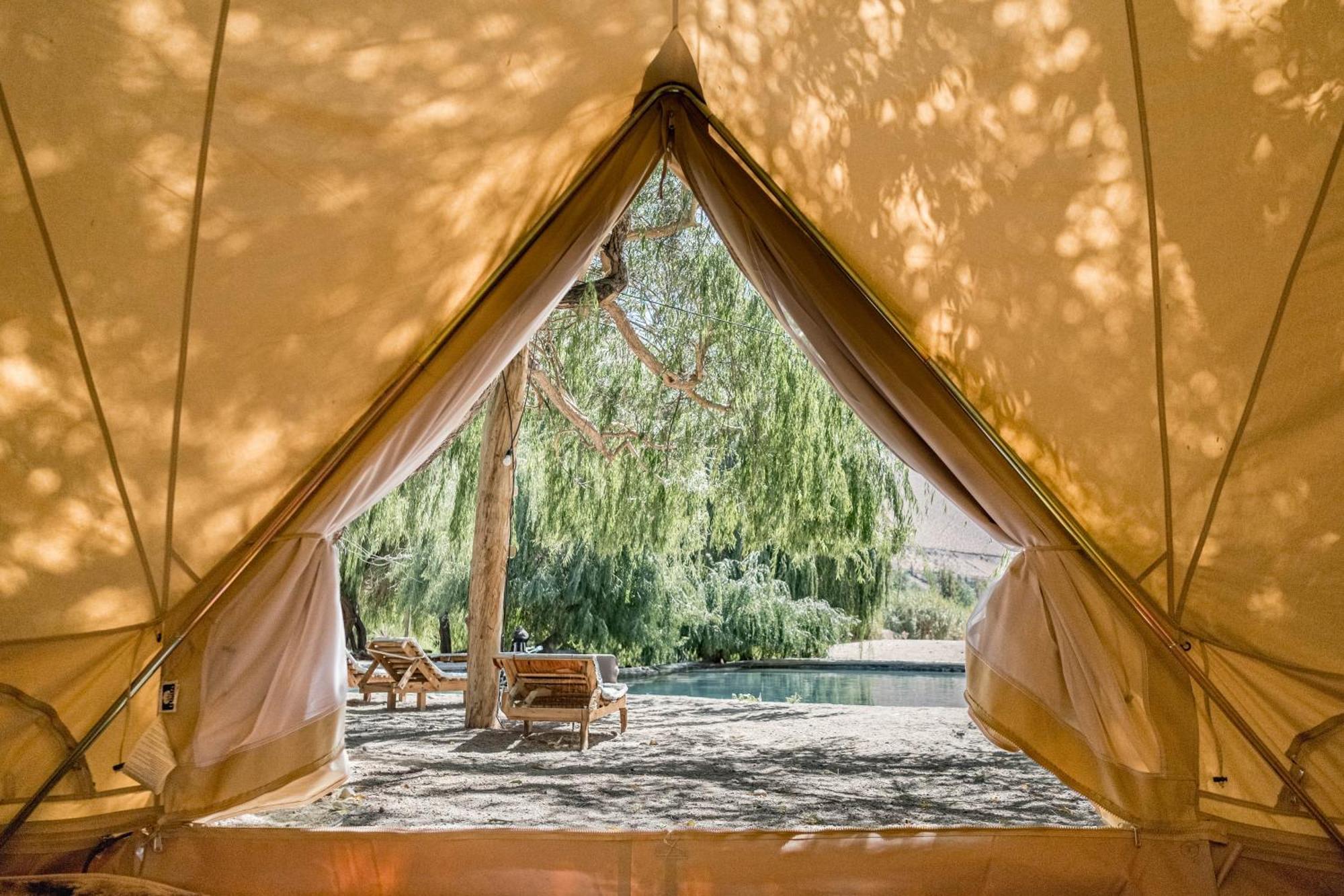 Glamping Miraflores 호텔 Vicuña 외부 사진