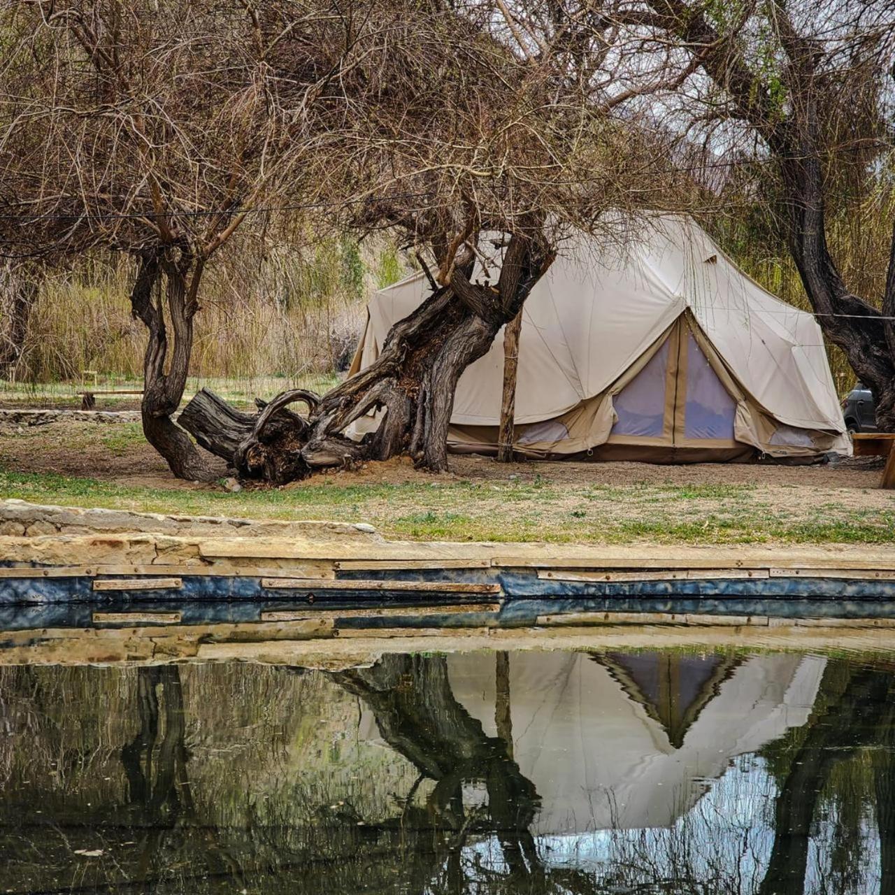 Glamping Miraflores 호텔 Vicuña 외부 사진