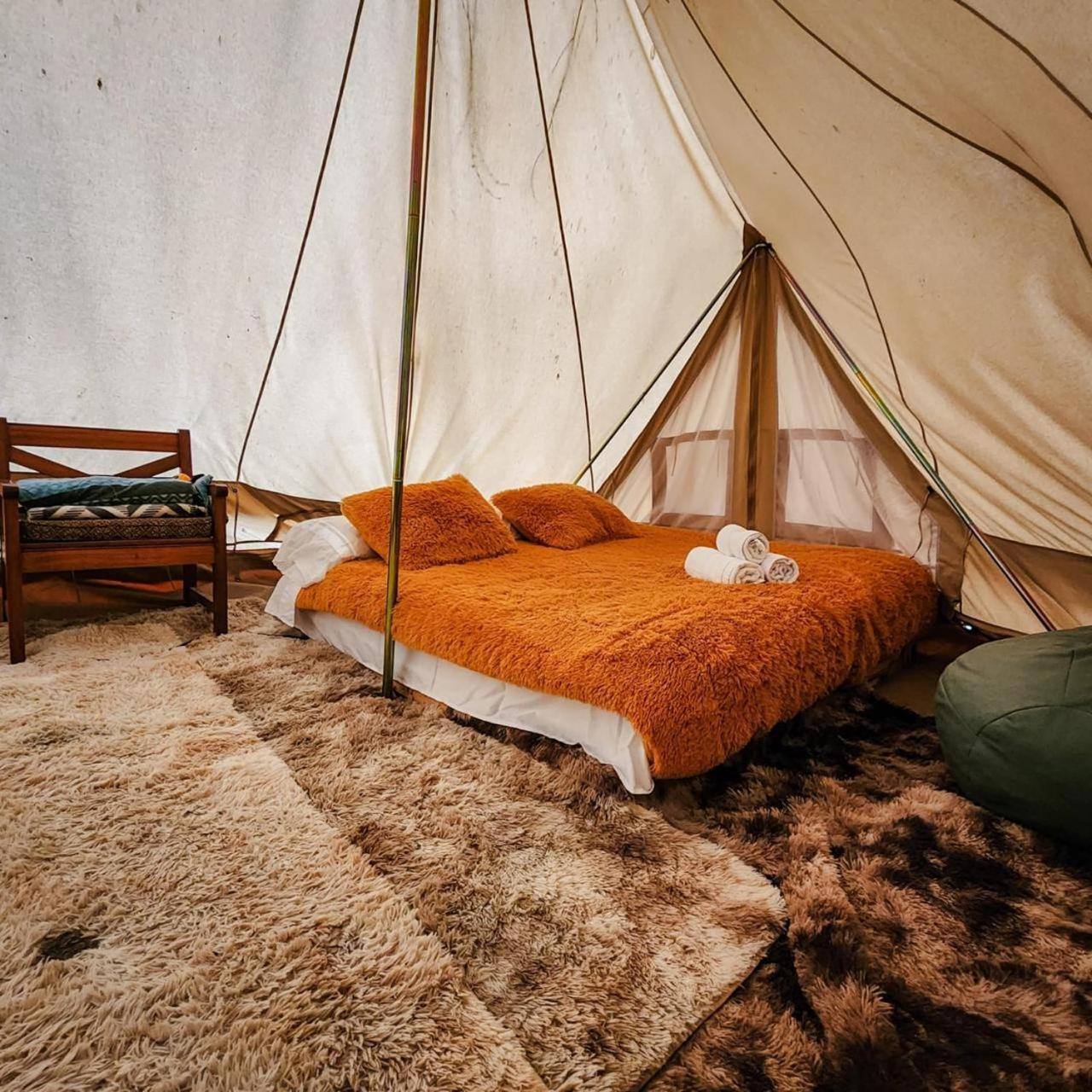 Glamping Miraflores 호텔 Vicuña 외부 사진