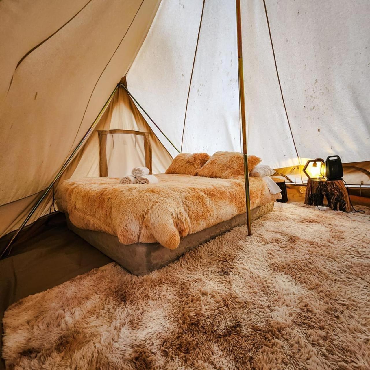 Glamping Miraflores 호텔 Vicuña 외부 사진